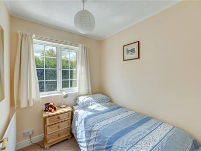 Picture 16